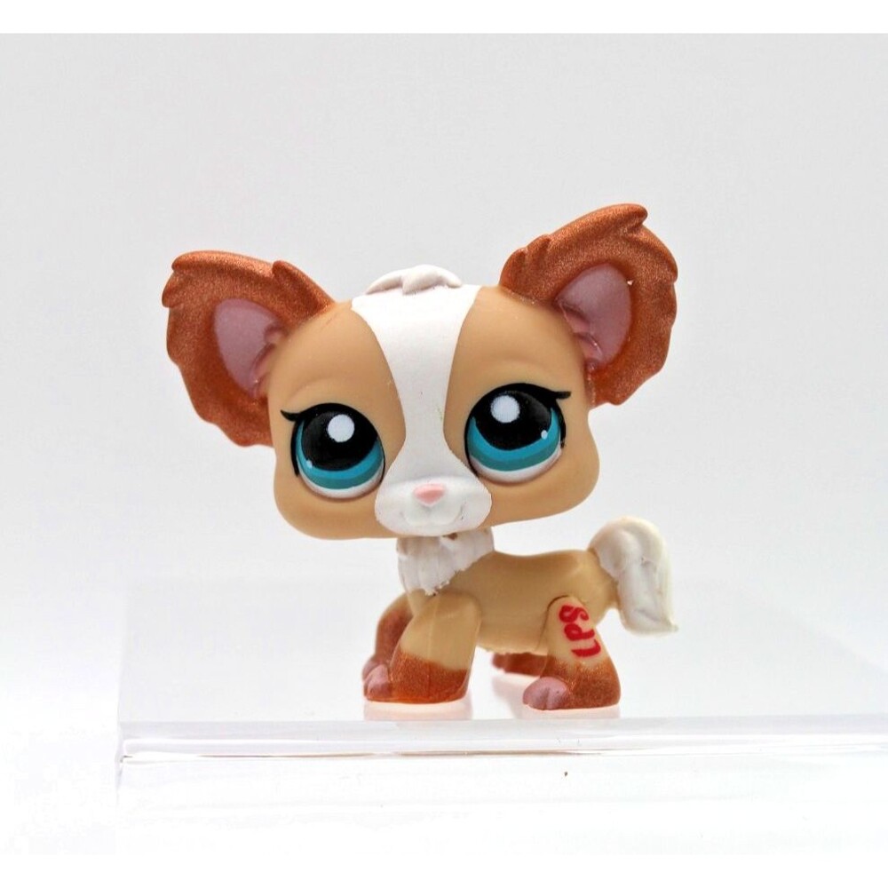 Littlest Pet Shop LPS #1082 Chihuahua Special No 2 Authentic Hasbro Vintage